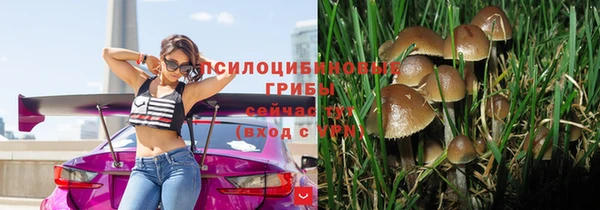 mdpv Россошь