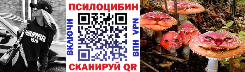 Галлюциногенные грибы прущие грибы  Абаза 